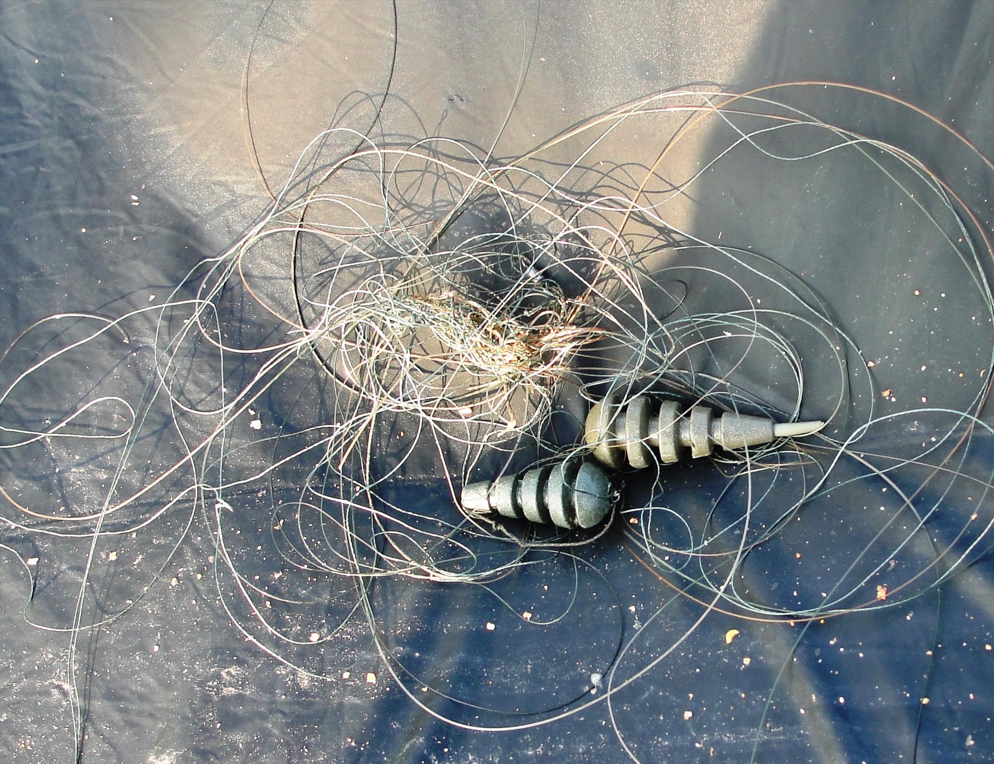 Moara Vlasiei 2 13 - 14 iul. - asta târa dupa el primul peste "prins" duminica dimineata-motivul:agrafele dintre montura si inaintas
